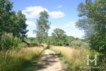 The Hollows Conservation Area in Cary, IL