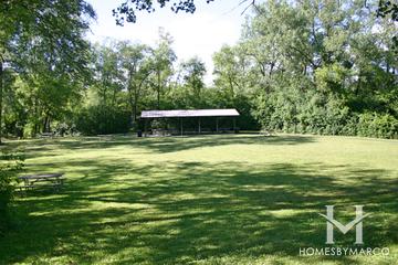 The Hollows Conservation Area in Cary, IL