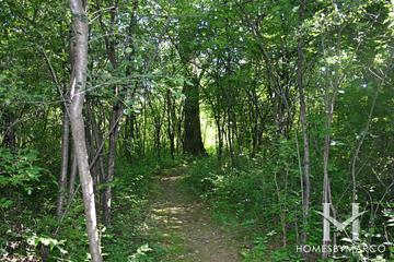 The Hollows Conservation Area in Cary, IL