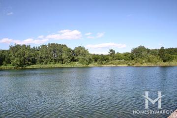 The Hollows Conservation Area in Cary, IL
