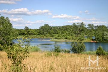 The Hollows Conservation Area in Cary, IL