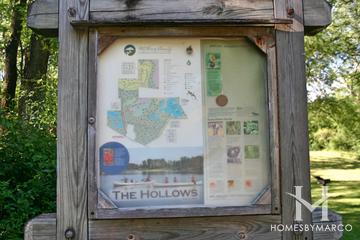 The Hollows Conservation Area in Cary, IL