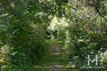 The Hollows Conservation Area in Cary, IL