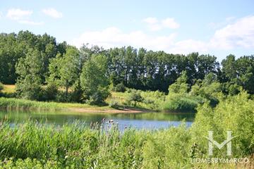 The Hollows Conservation Area in Cary, IL