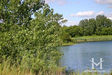 The Hollows Conservation Area in Cary, IL
