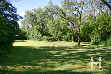 The Hollows Conservation Area in Cary, IL