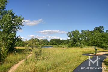 The Hollows Conservation Area in Cary, IL