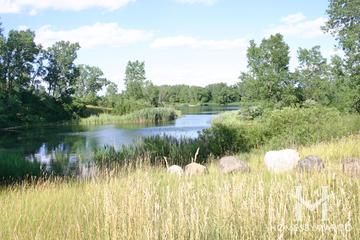 The Hollows Conservation Area in Cary, IL