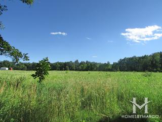 Hickory Grove Conservation Area in Cary, IL