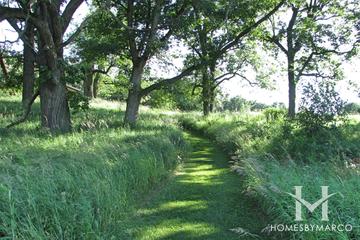 Hickory Grove Conservation Area in Cary, IL