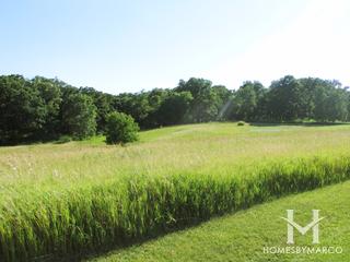 Hickory Grove Conservation Area in Cary, IL