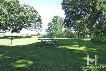 Hickory Grove Conservation Area in Cary, IL