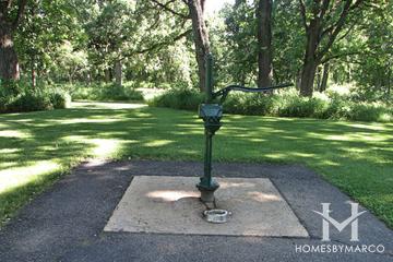 Hickory Grove Conservation Area in Cary, IL