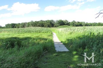 Hickory Grove Conservation Area in Cary, IL