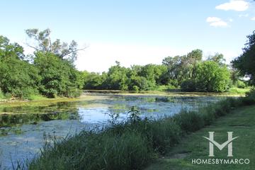 Hickory Grove Conservation Area in Cary, IL