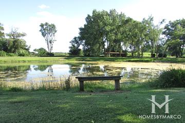 Hickory Grove Conservation Area in Cary, IL