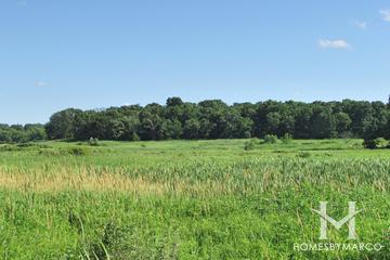 Hickory Grove Conservation Area in Cary, IL