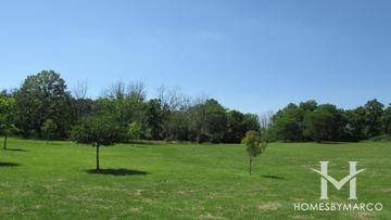 Tampier Greenway in Orland Park, IL