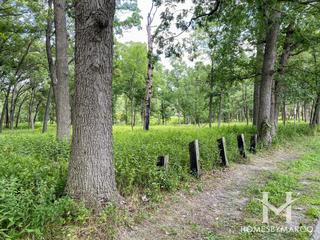Cap Sauers Holdings Nature Preserve in Orland Park, IL