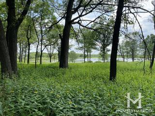 Cap Sauers Holdings Nature Preserve in Orland Park, IL