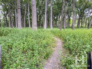 Cap Sauers Holdings Nature Preserve in Orland Park, IL