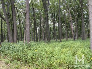 Cap Sauers Holdings Nature Preserve in Orland Park, IL