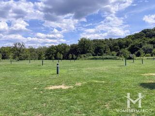 Photos of Swallow Cliff Woods Forest Preserve in Orland Park, IL