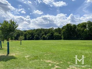 Swallow Cliff Woods Forest Preserve in Orland Park, IL