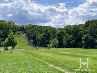 Swallow Cliff Woods Forest Preserve in Orland Park, IL