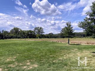 Swallow Cliff Woods Forest Preserve in Orland Park, IL