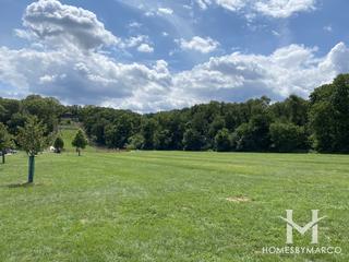 Swallow Cliff Woods Forest Preserve in Orland Park, IL