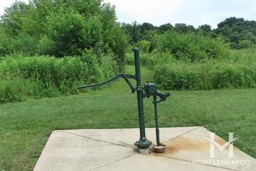 Fox Bluff Conservation Area in Cary, IL