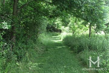 Fox Bluff Conservation Area in Cary, IL