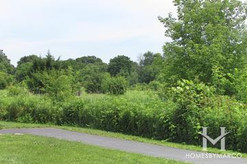 Fox Bluff Conservation Area in Cary, IL