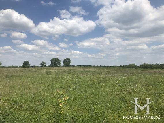 Hawk Hollow Forest Preserve in Hanover Park, IL