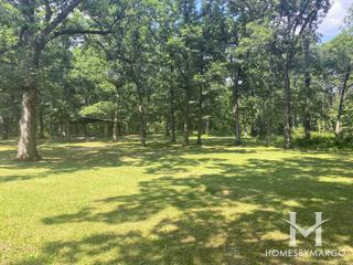 Palos Park Woods Forest Preseve in Palos Park, IL