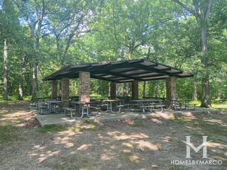 Palos Park Woods Forest Preseve in Palos Park, IL