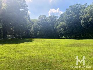 Palos Park Woods Forest Preseve in Palos Park, IL