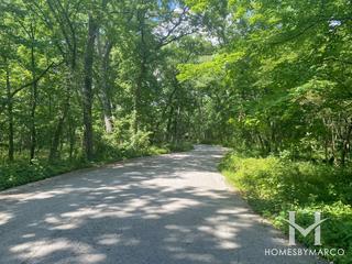 Palos Park Woods Forest Preseve in Palos Park, IL