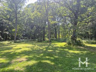 Paddock Woods Forest Preserve in Palos Park, IL
