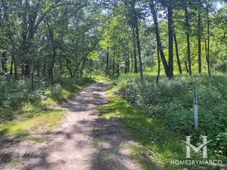 Paddock Woods Forest Preserve in Palos Park, IL