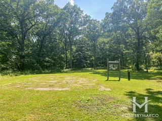 Paddock Woods Forest Preserve in Palos Park, IL