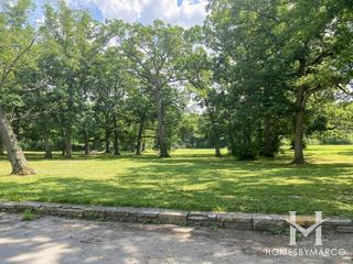 Forty Acre Woods Forest Preserve in Palos Park, IL