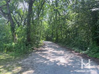 Forty Acre Woods Forest Preserve in Palos Park, IL