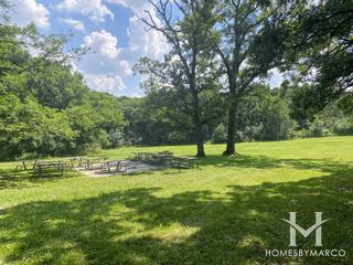 Forty Acre Woods Forest Preserve in Palos Park, IL