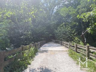 McClaughry Springs Woods Forest Preserve in Palos Park, IL