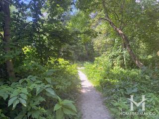 McClaughry Springs Woods Forest Preserve in Palos Park, IL