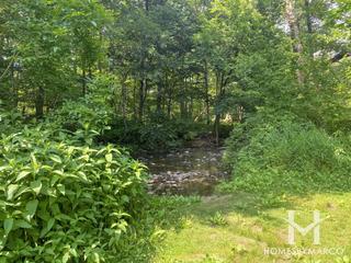 McClaughry Springs Woods Forest Preserve in Palos Park, IL