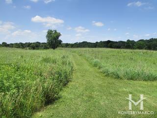 Sands Main Street Prairie Nature Preserve in Cary, IL