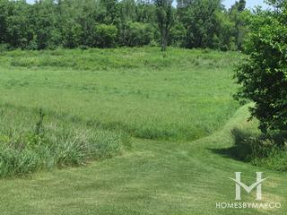 Sands Main Street Prairie Nature Preserve in Cary, IL